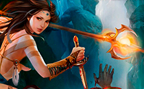Игра Reborn Online для ПК