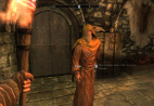 TES 5: Skyrim